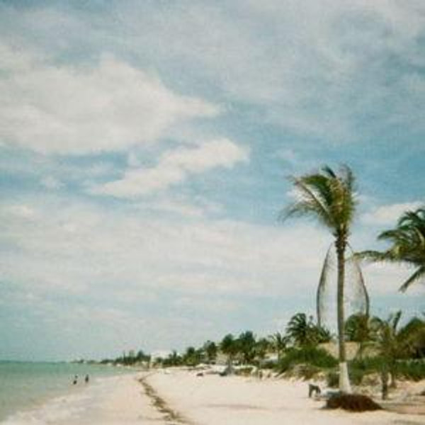 Honeymoon Fund