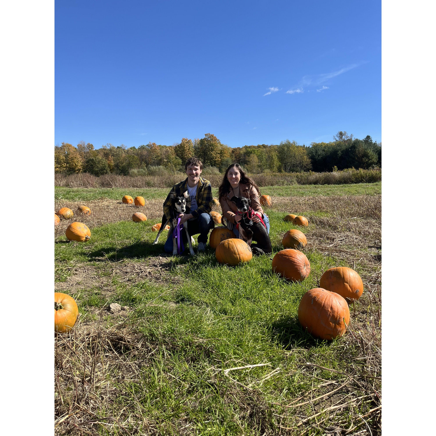 Fall is our favorite time of year