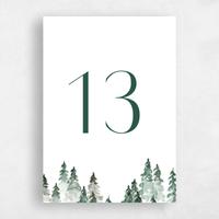 White Wedding Table Number - Spruce