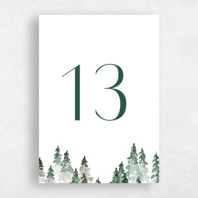 White Wedding Table Number - Spruce