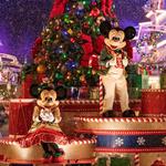 Magic Kingdom Park