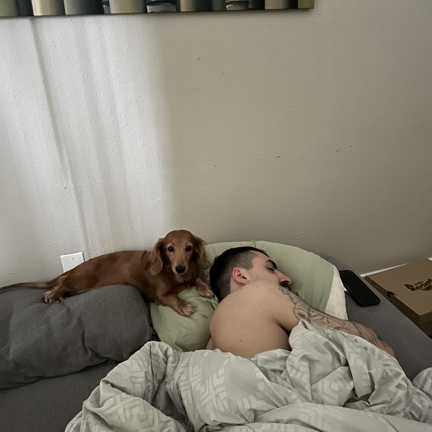 Last morning at Kolby old apartment, before they move in. Penelope is like waiting patiently for him to wake up.