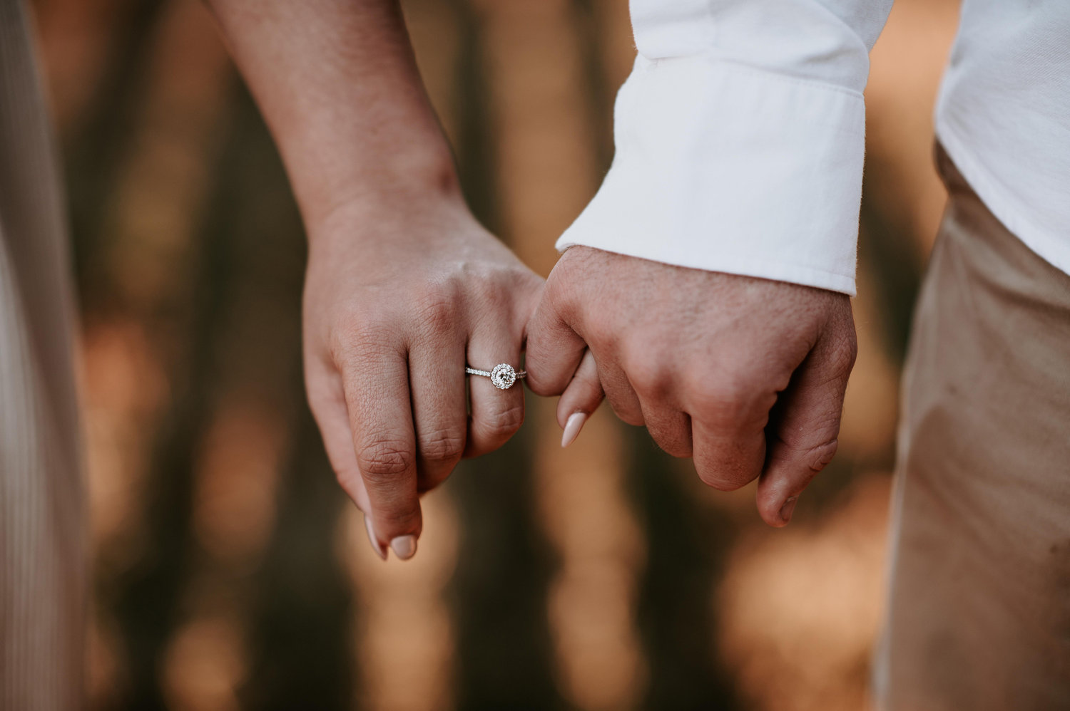 The Wedding Website of Emily Crider and Aaron Amshoff