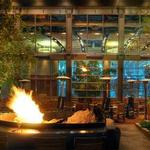 Stone Brewing