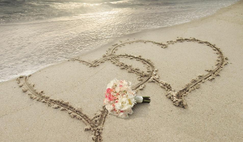 The Wedding Website of Tina Lauder and David Amato