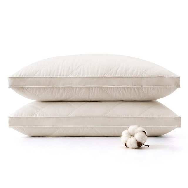 puredown® Goose Feathers and Down Pillows, 100% Organic Cotton Cover, Gusseted Pillow for Sleeping Hotel Collection Bed Pillows, Queen, Set of 2
