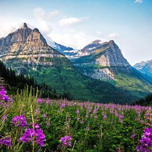 honeymoon in glacier, mt