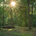 Tyler State Park