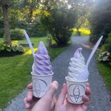 The Dairy Bar