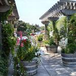 Boekenoogen Winery Tasting