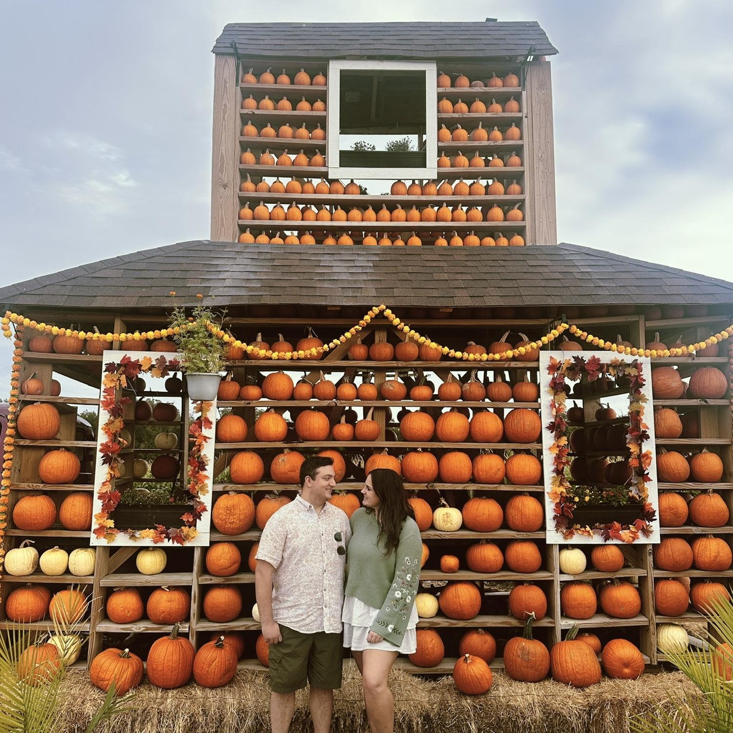 Pumpkins