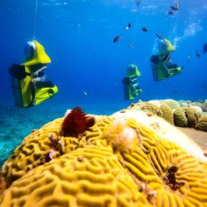 Aquafari Excursion