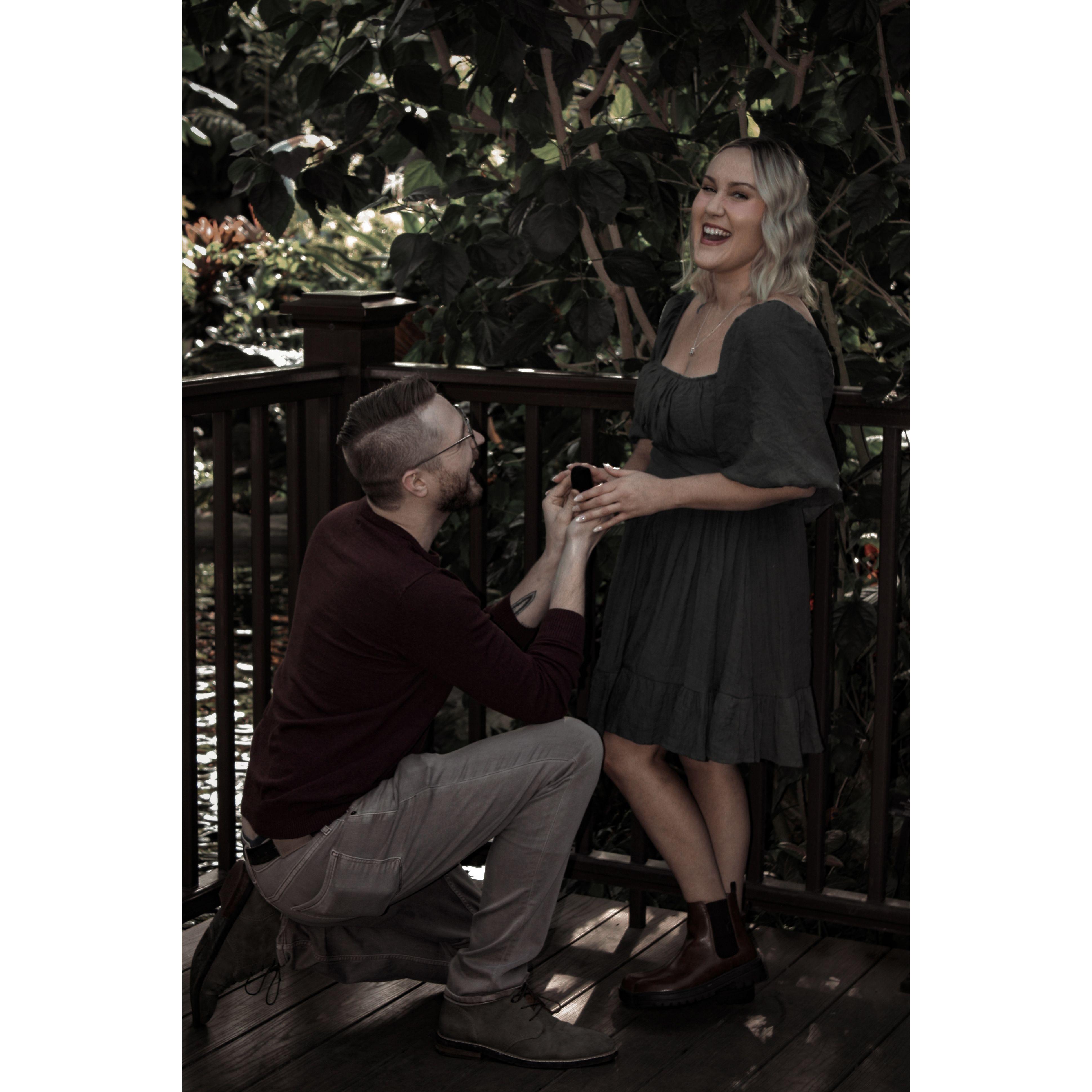 Engagement photo taken in Milwaukee, WI by Taylor Olsen & edited by Ash. November 2022