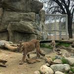 California Living Museum