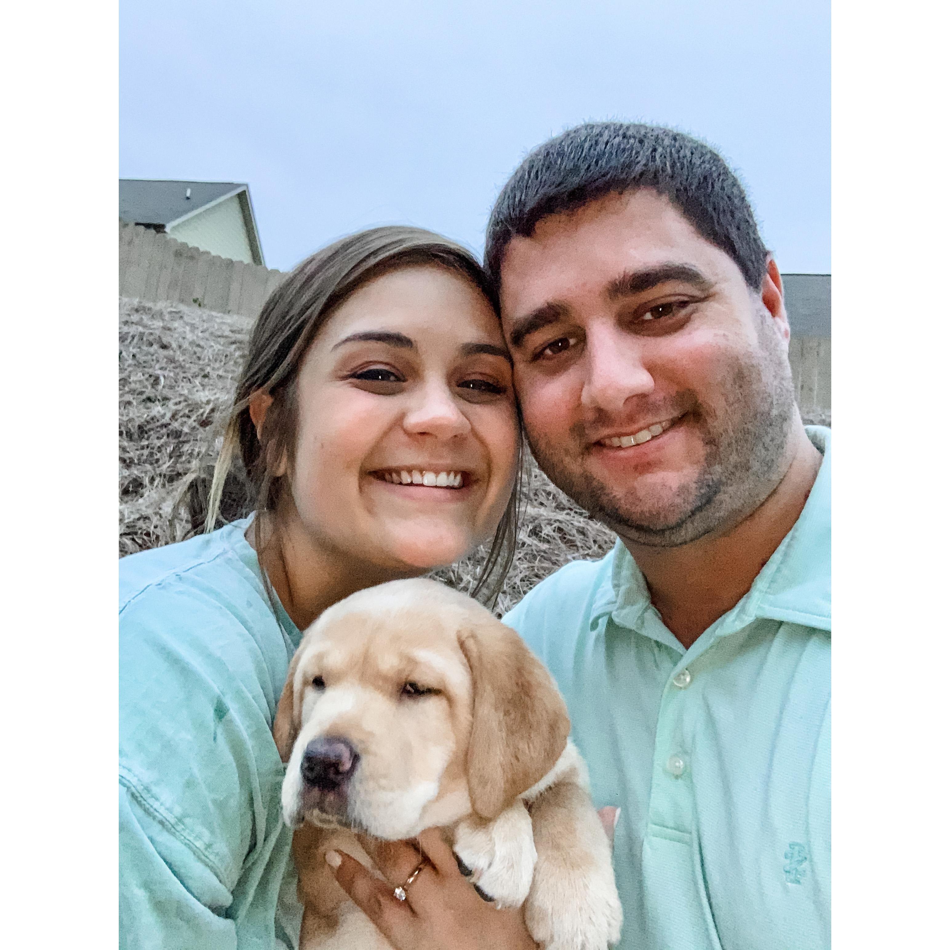 Our newest family member! This is our lab, River.