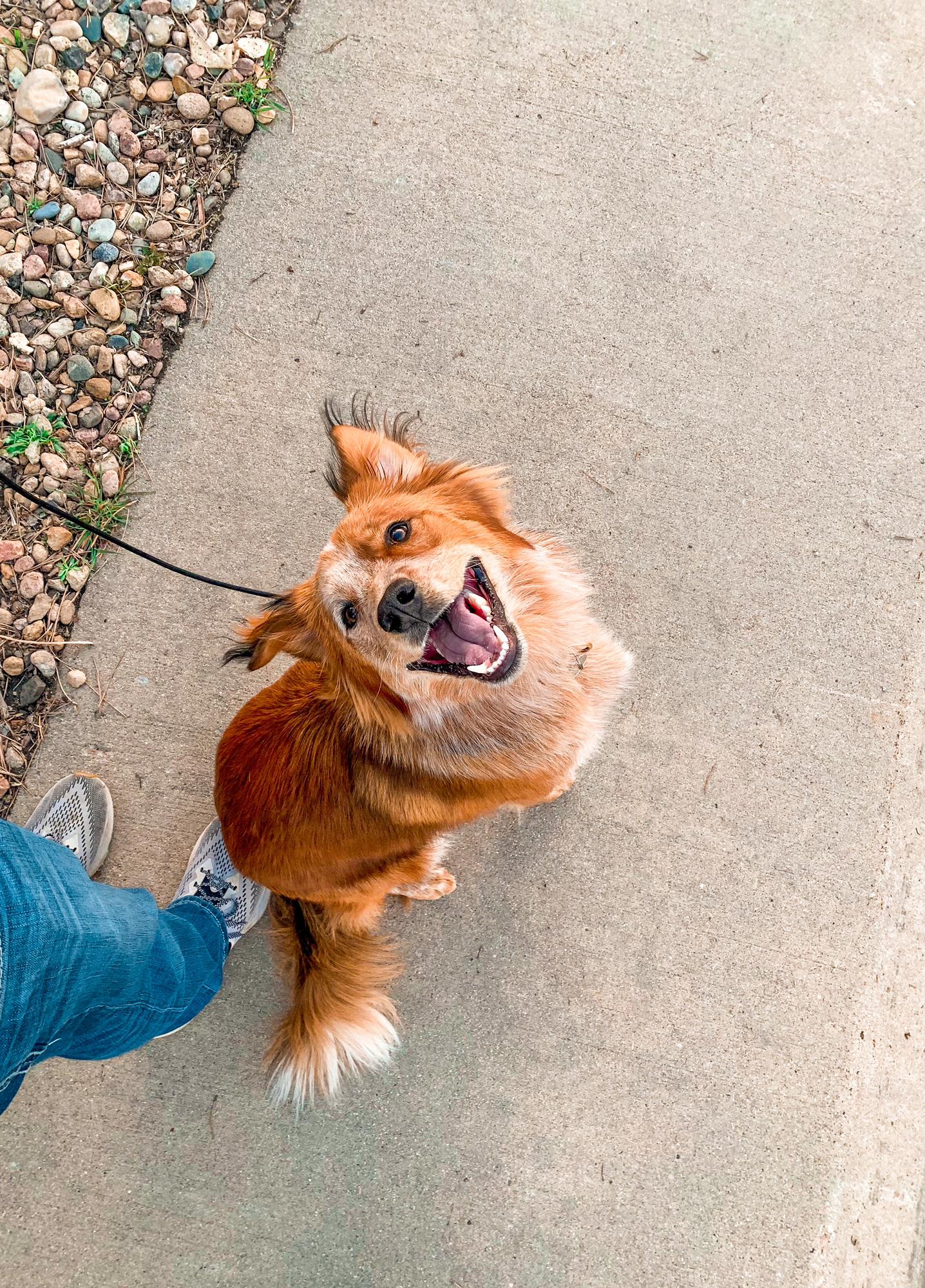 Our happy guy :)
