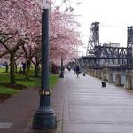 Waterfront Park Trail