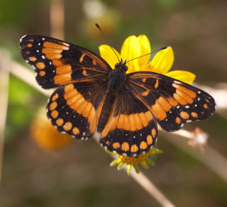 The Wedding Website of Bree Hanson and Thomas Ventrone