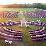 Fragrant Isle Lavender Farm and Shop