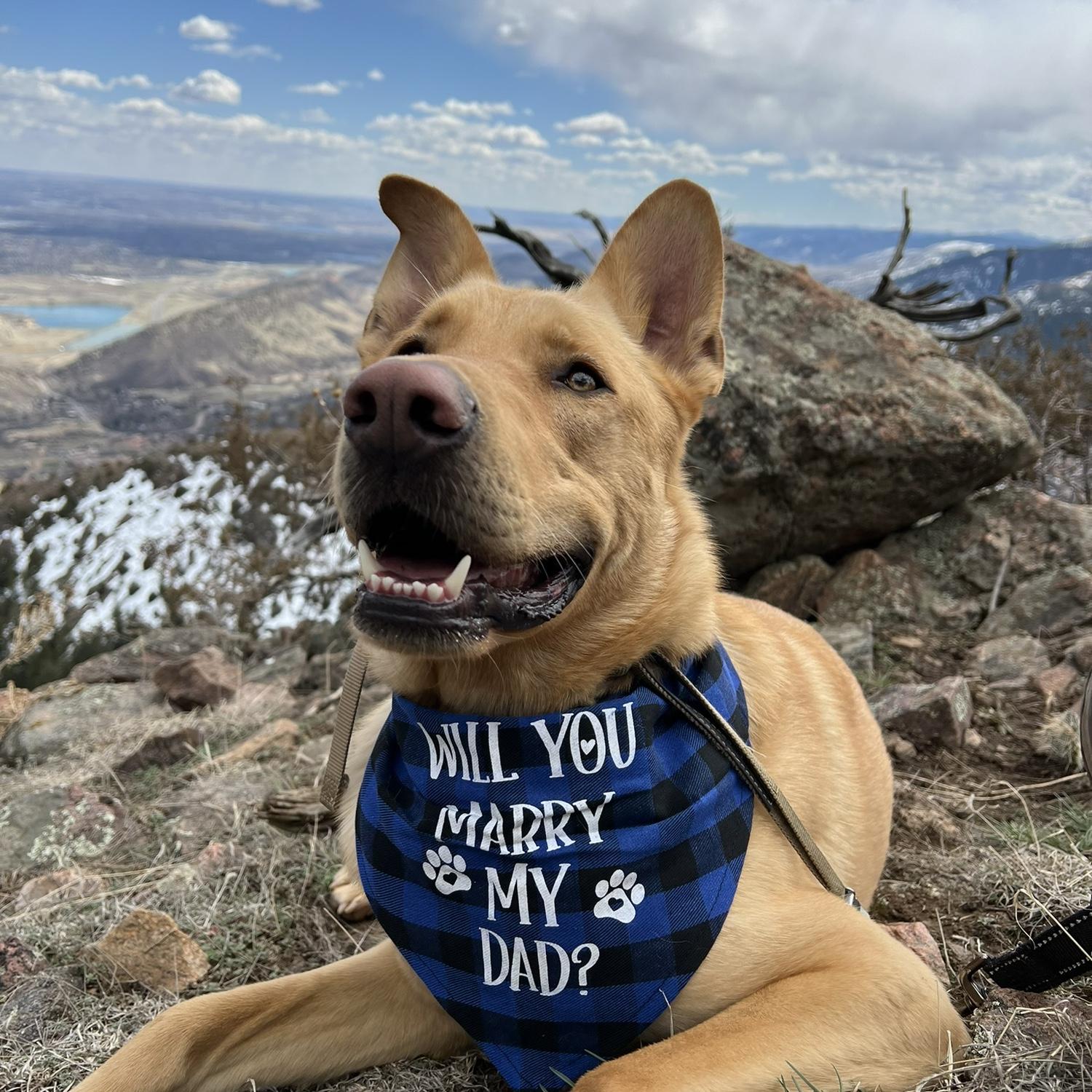 Stanley, the real MVP of engagement day for enduring the grueling hike