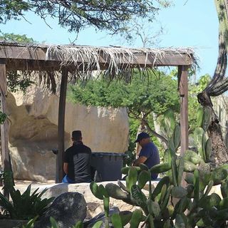 Aruban Roots UTV Adventure for 2
