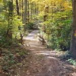 Leadmine Mountain Trail (Main Entrance)