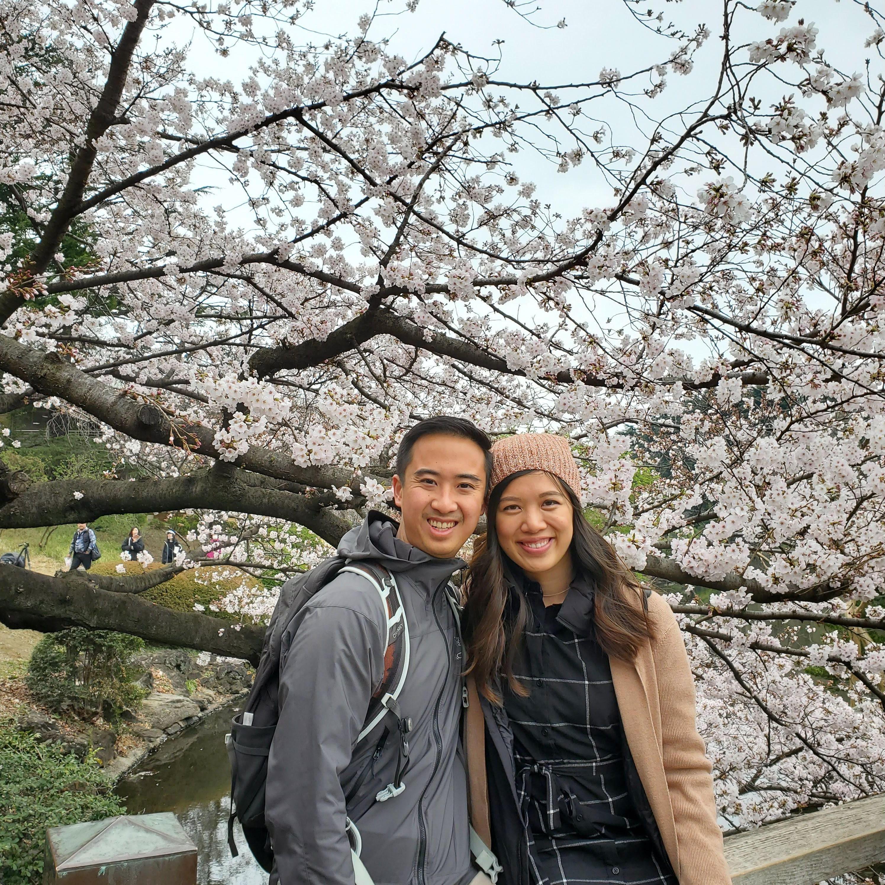 Visiting Tokyo during Sakura "Cherry Blossom" Season