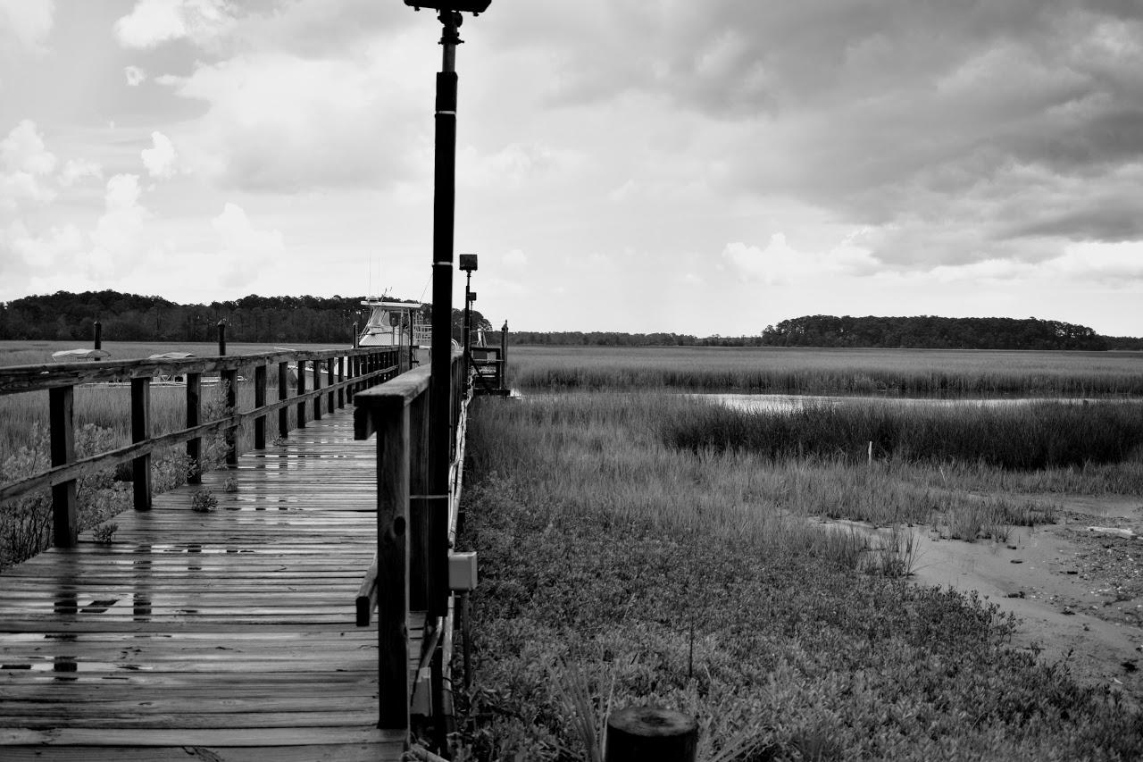 The Wedding Website of Tanya Burrwell and Anthony Dozier
