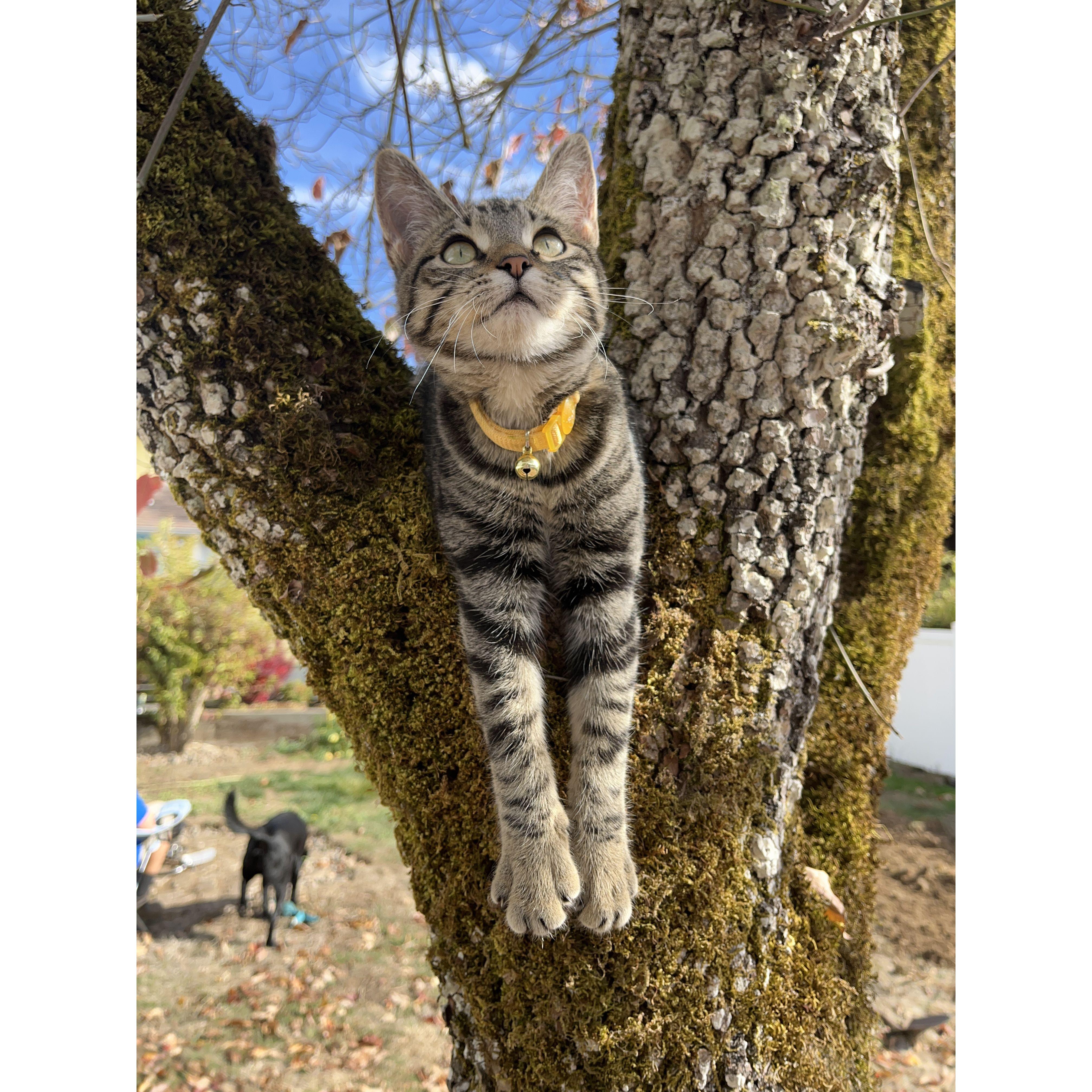 We through our first big trauma together; losing Connie.