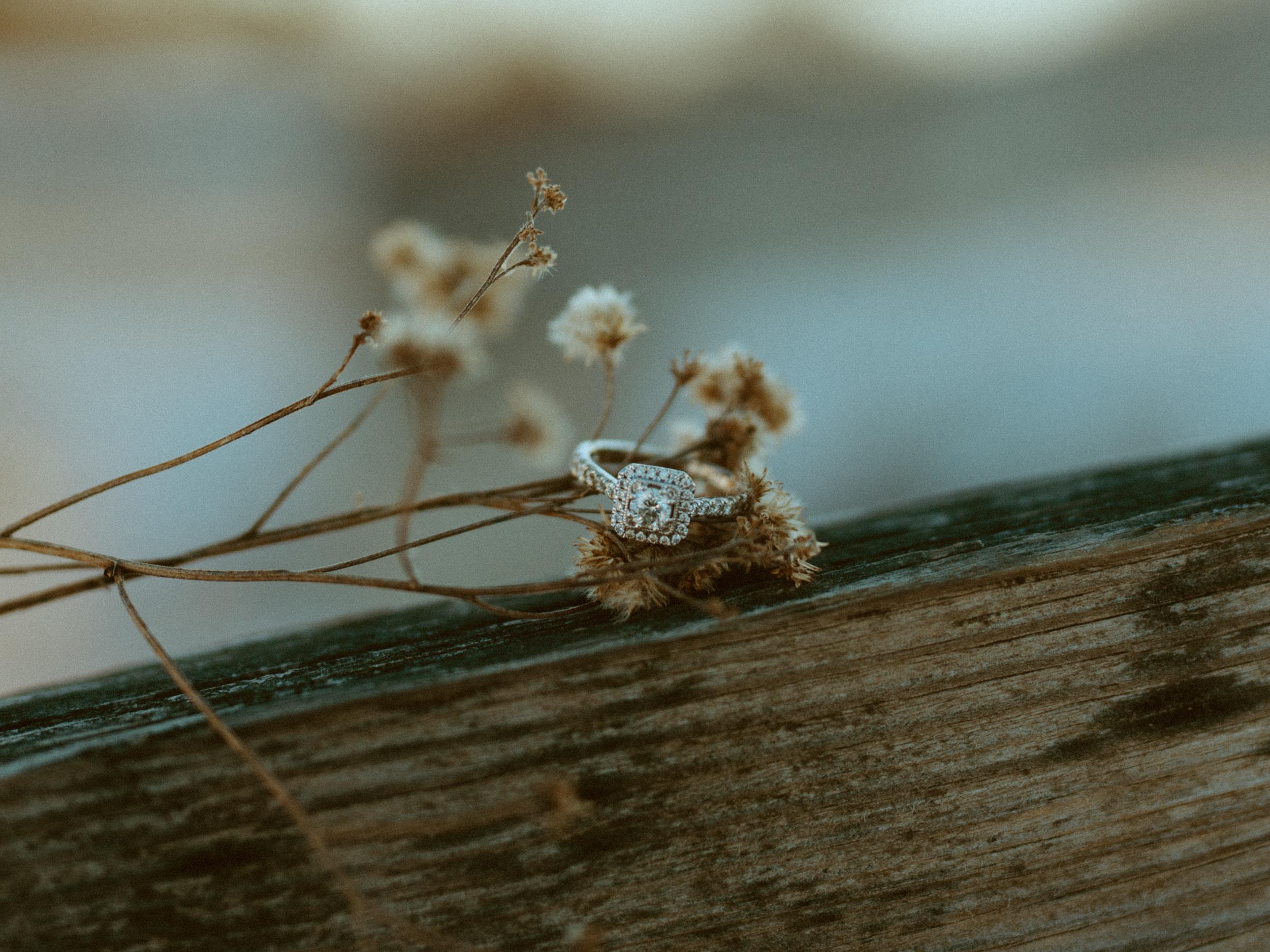 The Wedding Website of Makaela Farris and Josh Grant