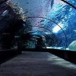 Oklahoma Aquarium