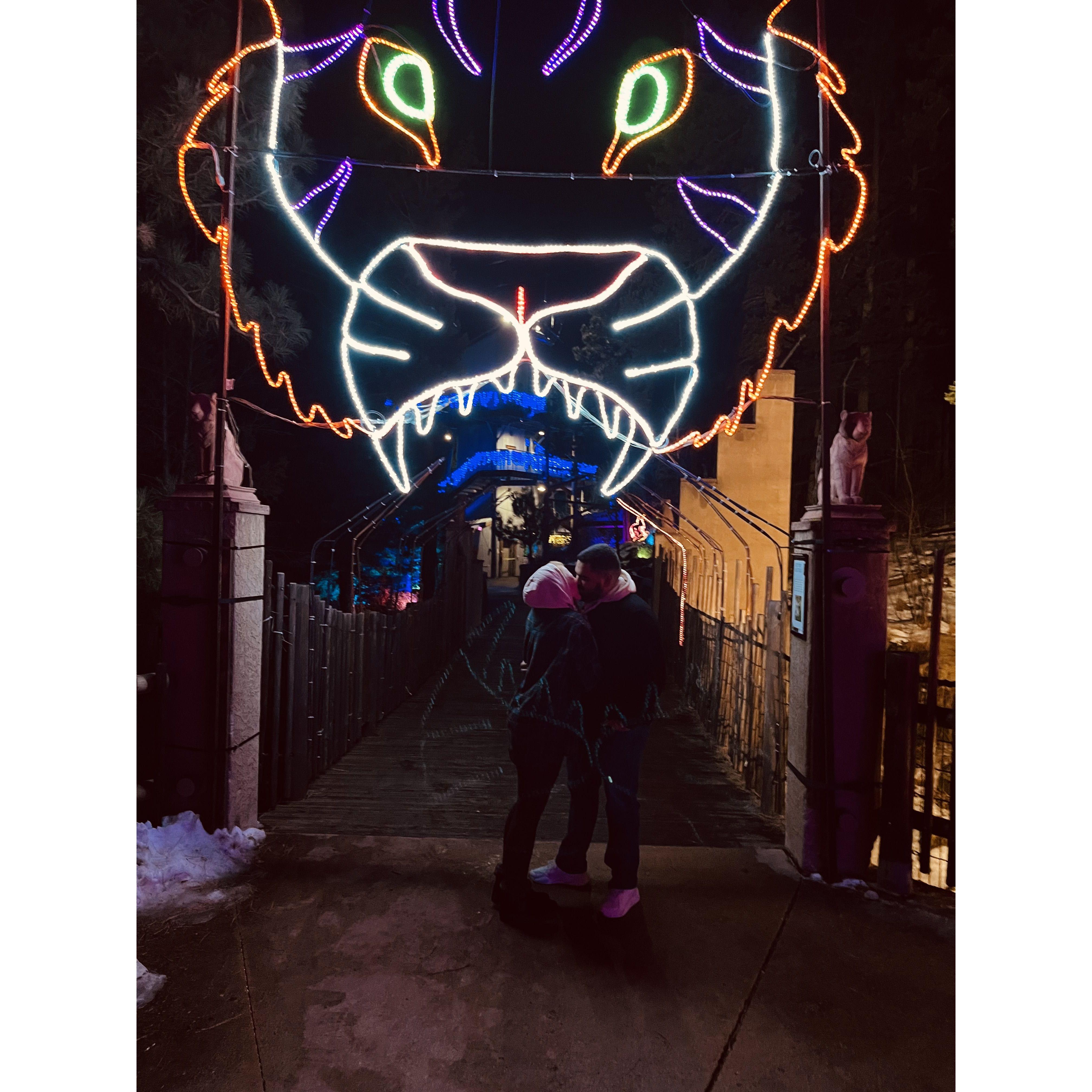 Cheyenne Mtn. Zoo Electric Safari