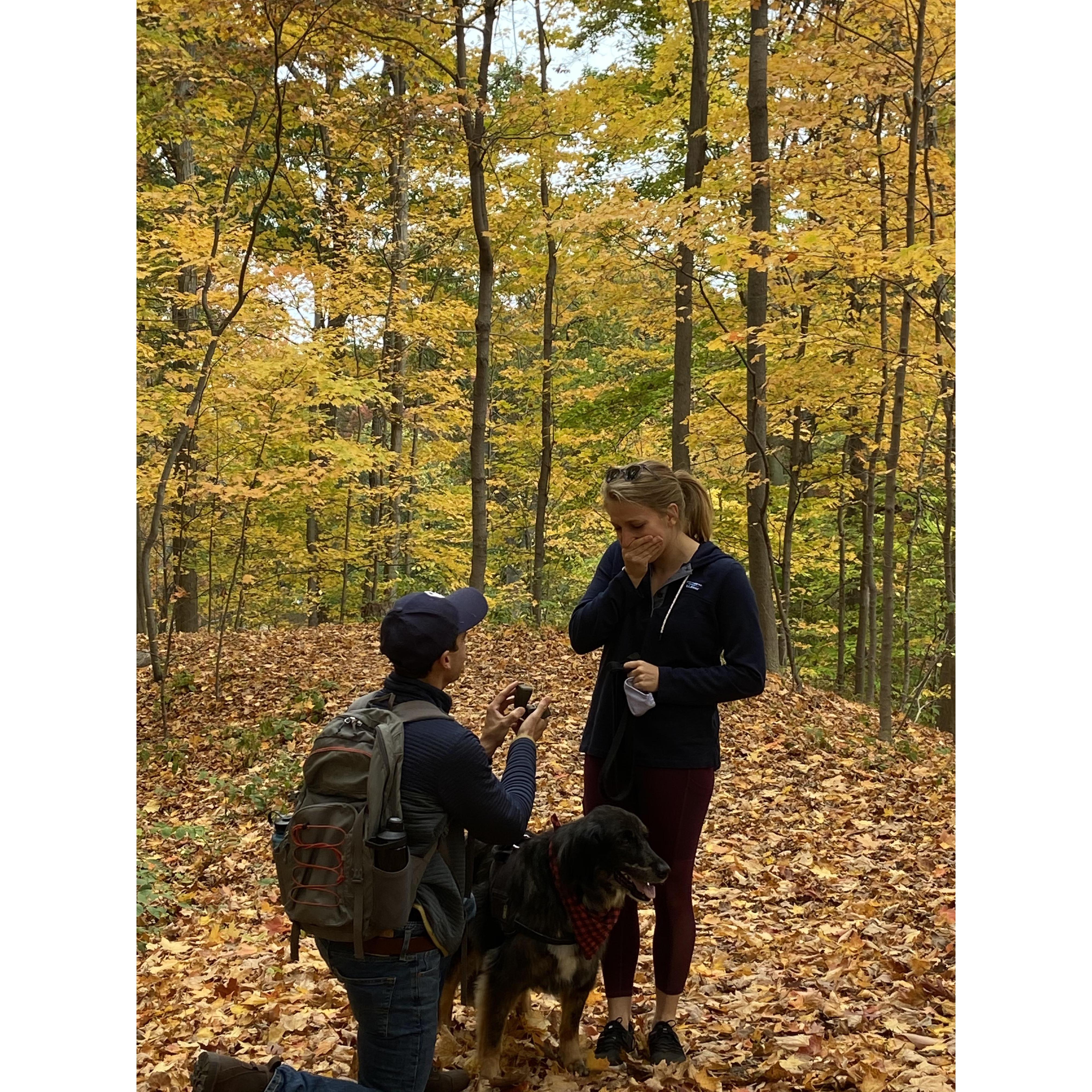 The proposal!