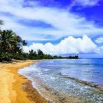 Visit the Beaches