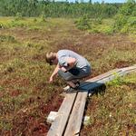 Philbrick-Cricenti Bog
