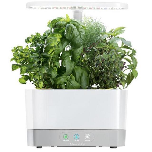 Aerogarden Harvest With Gourmet Herb Kit