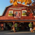 Jackson's Orchard & Nursery