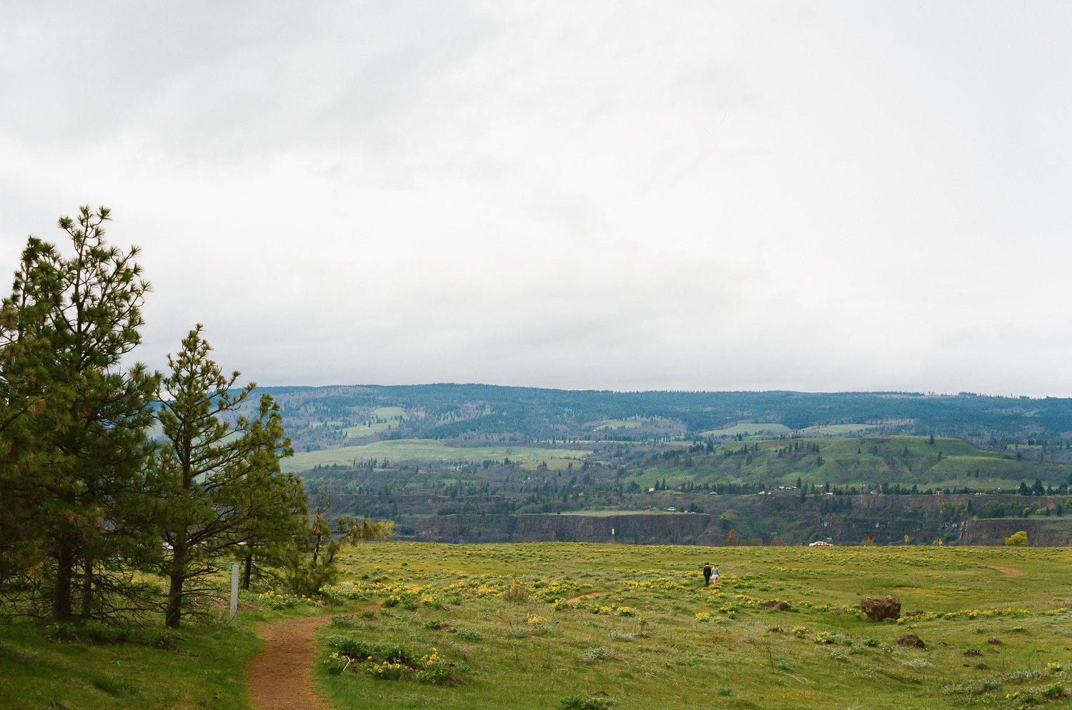 The Wedding Website of Kati Cooke and Jorge Reyes