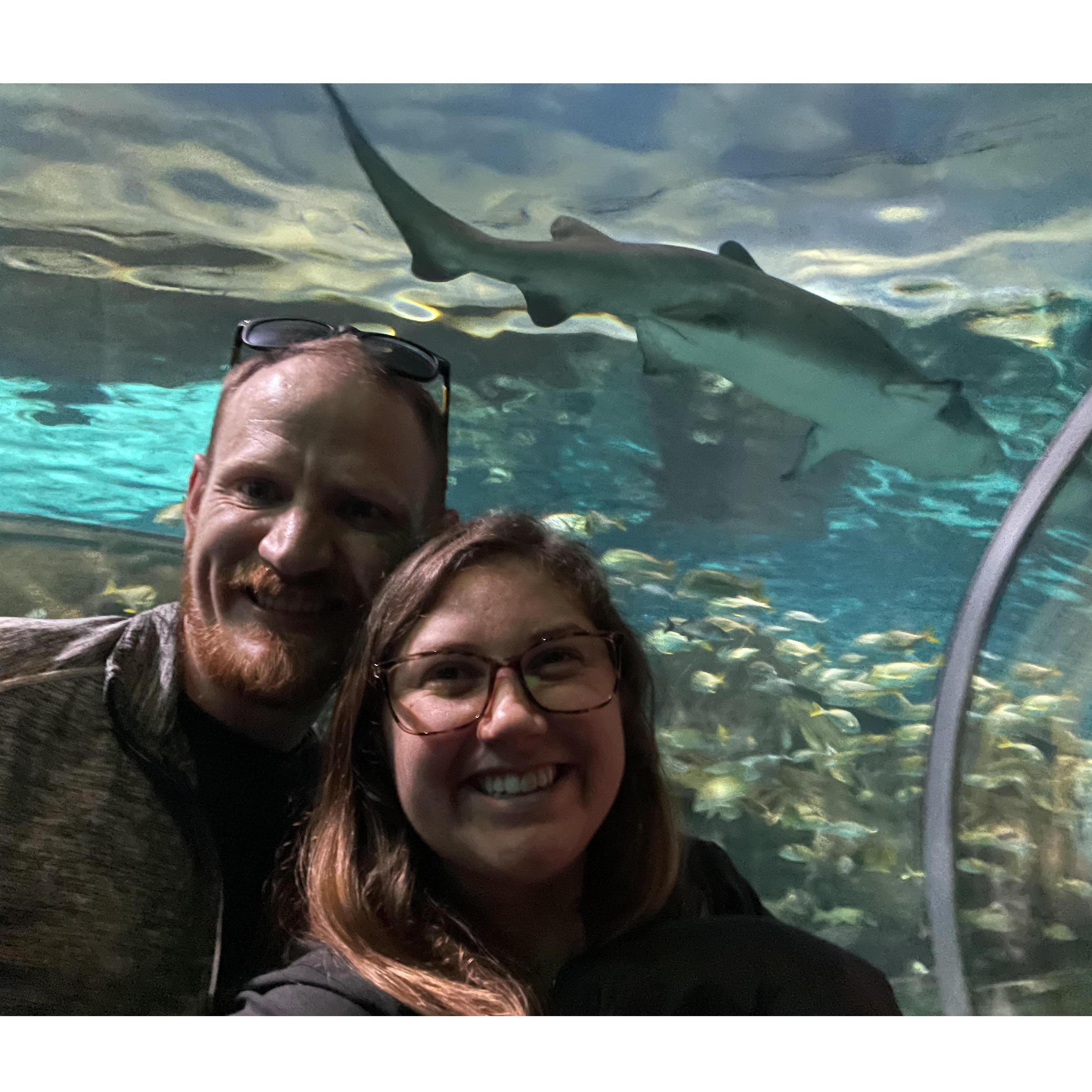 Y’all, we got a picture with a shark. So cool.