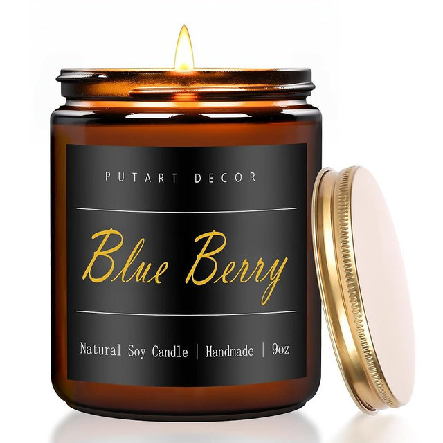 Putart Blue Berry Candles for Home Scented, Natural Soy Aromatherapy Non Toxic Candles with Long Lasting Fragrance & Clean Burn, Luxury Jar Candle Gift for Women, Men, Home Decoration 9oz