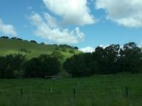 Olompali State Historic Park