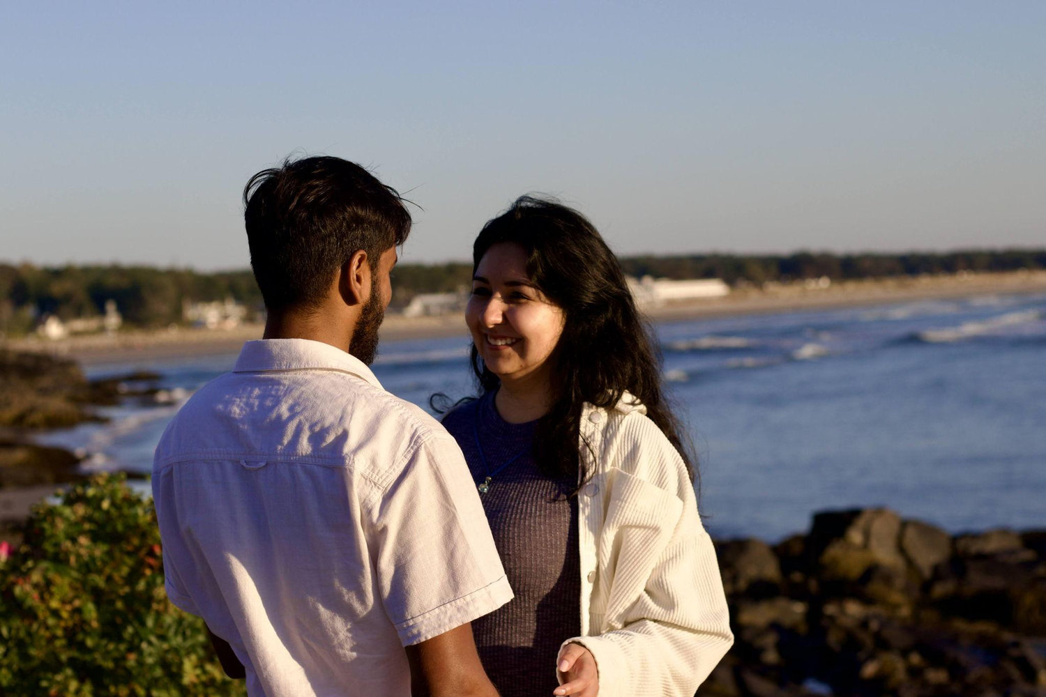 The Wedding Website of Deepak Chandrasekhar and Nicol Garcia