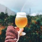 Harbor Mountain Brewing Co.