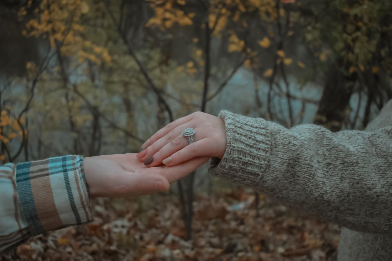 The Wedding Website of Torie Bugge and Parker Holt