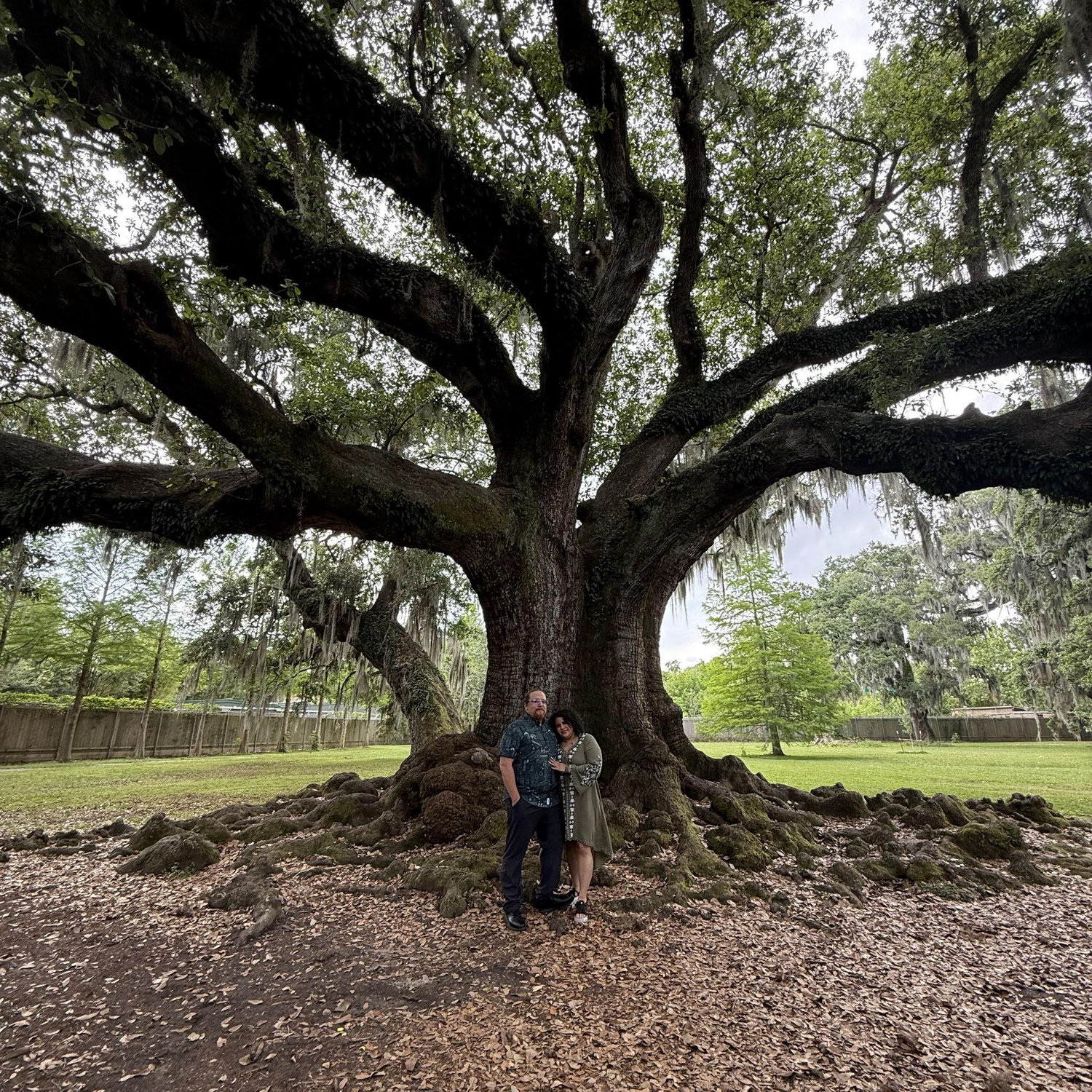 The Tree of Life