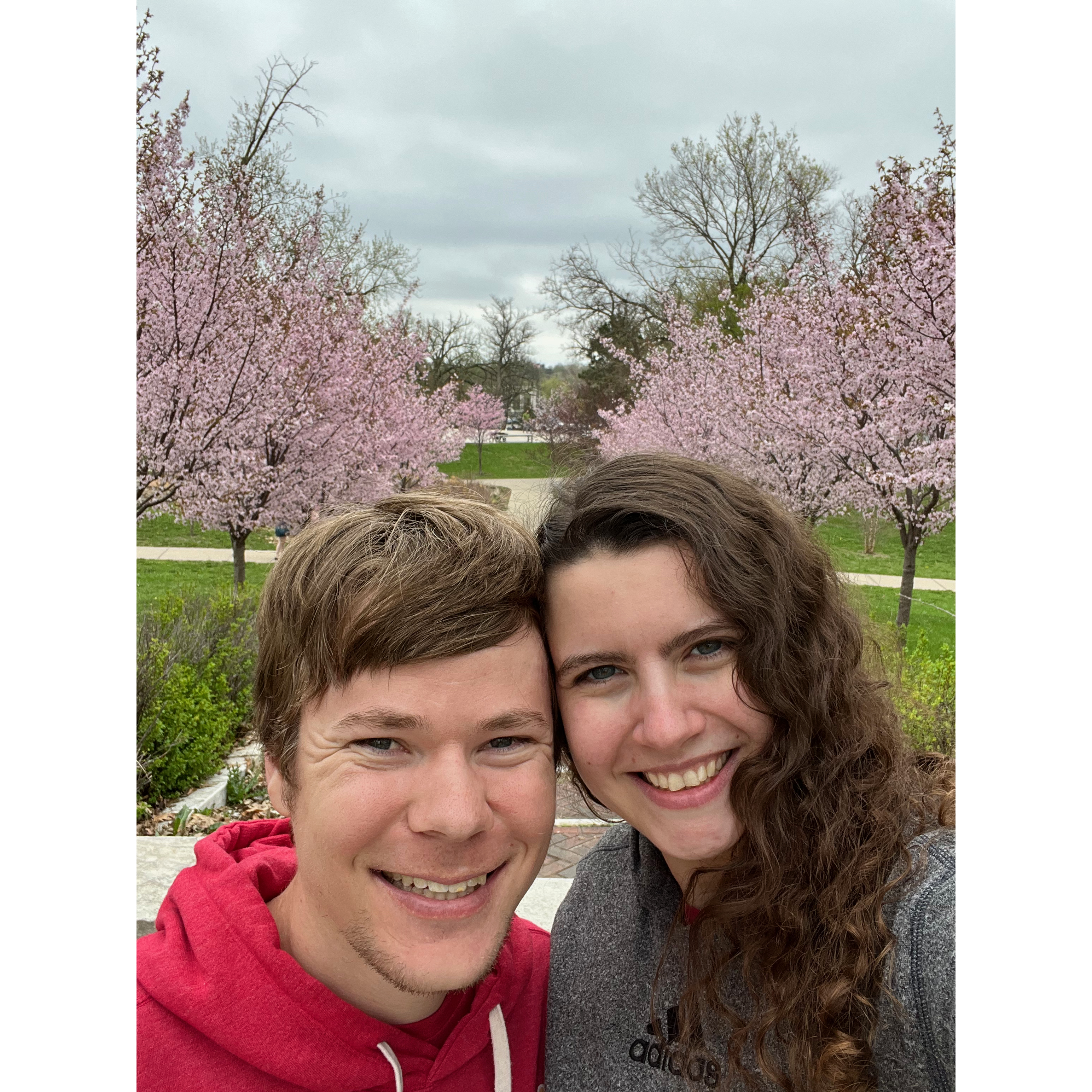 Just a picture in front of the cherry blossoms in Como Park