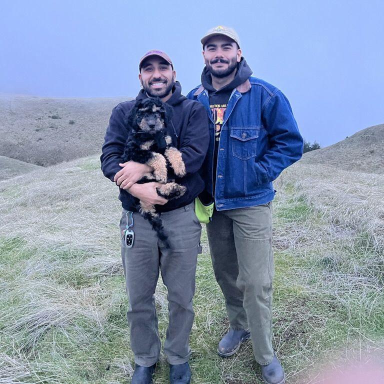 We spend a lot of time at nearby Mt. Tamalpais, where the fog meets the forest. This special place, with it's pygmy cypress, towering redwood, pacific ocean expanse, star tulips, and green serpentinite brings us back time and time again. This is Willie's first visit when he was a tiny baby at 8 weeks old.