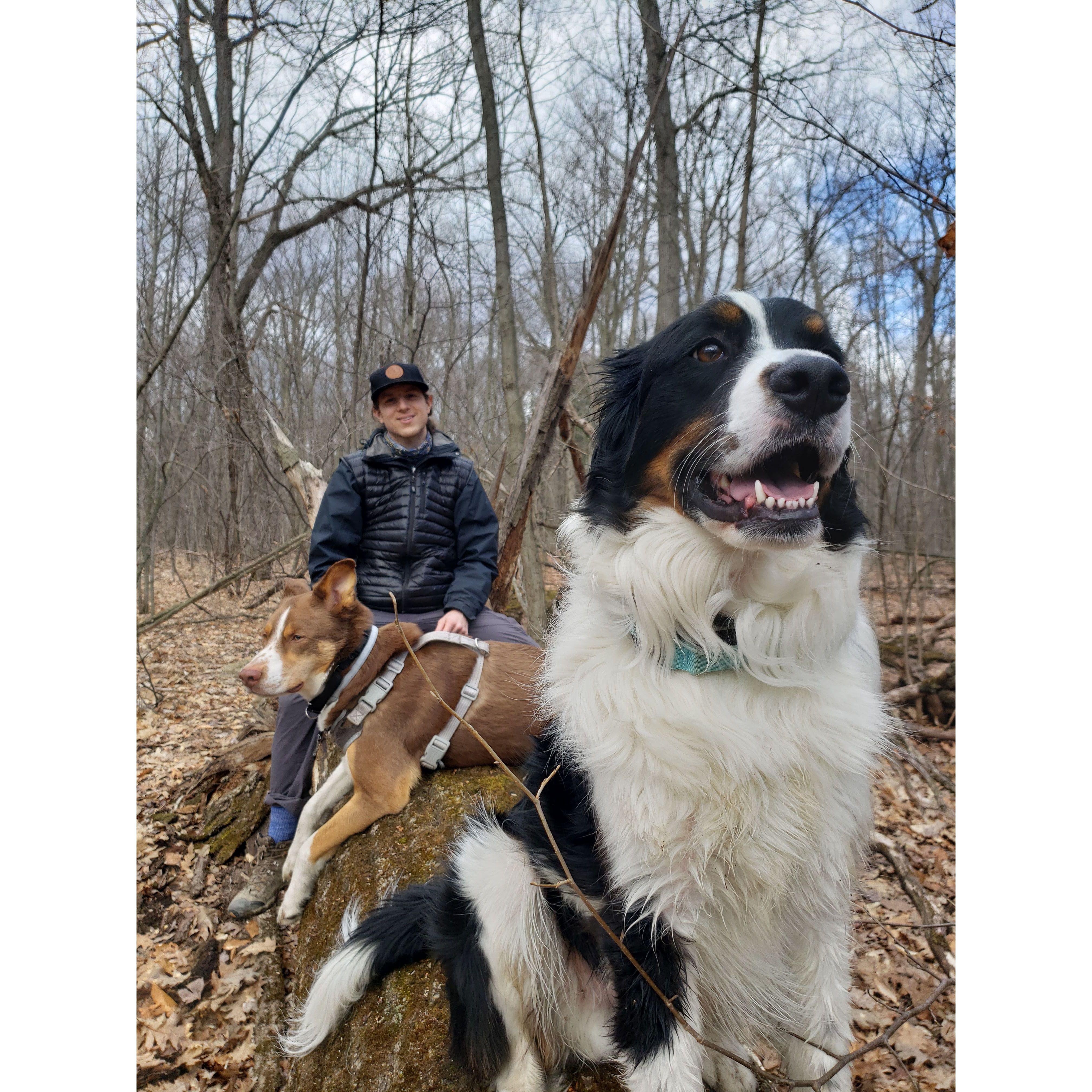 Hiking with the pups in the Adirondacks