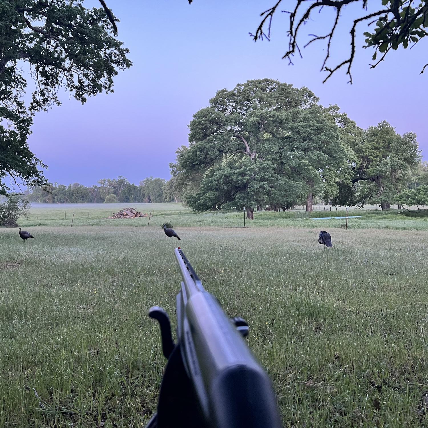 Many turkey hunting dates- Vince’s