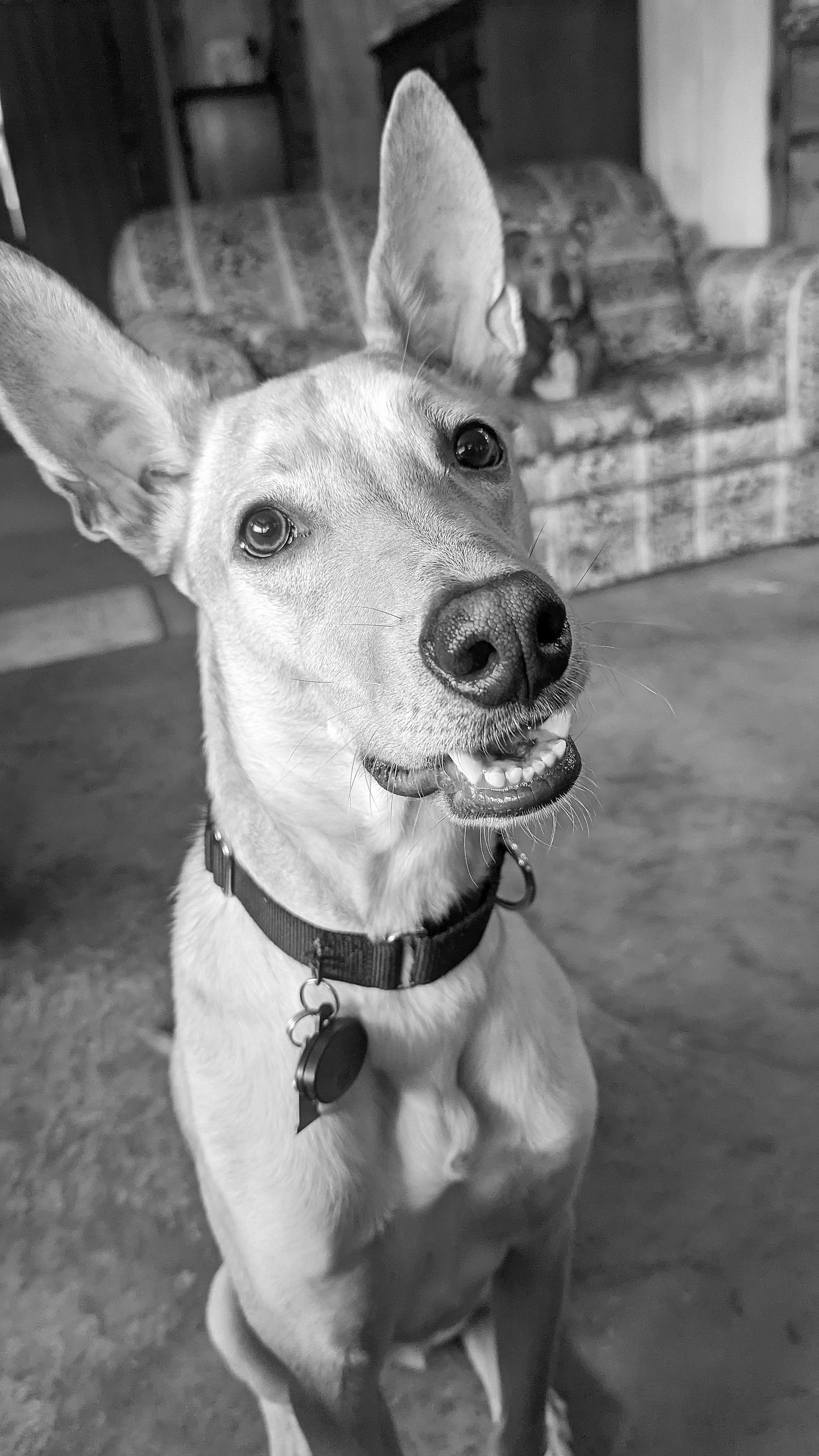 The Wedding Website of Megan Reid and William Reynolds